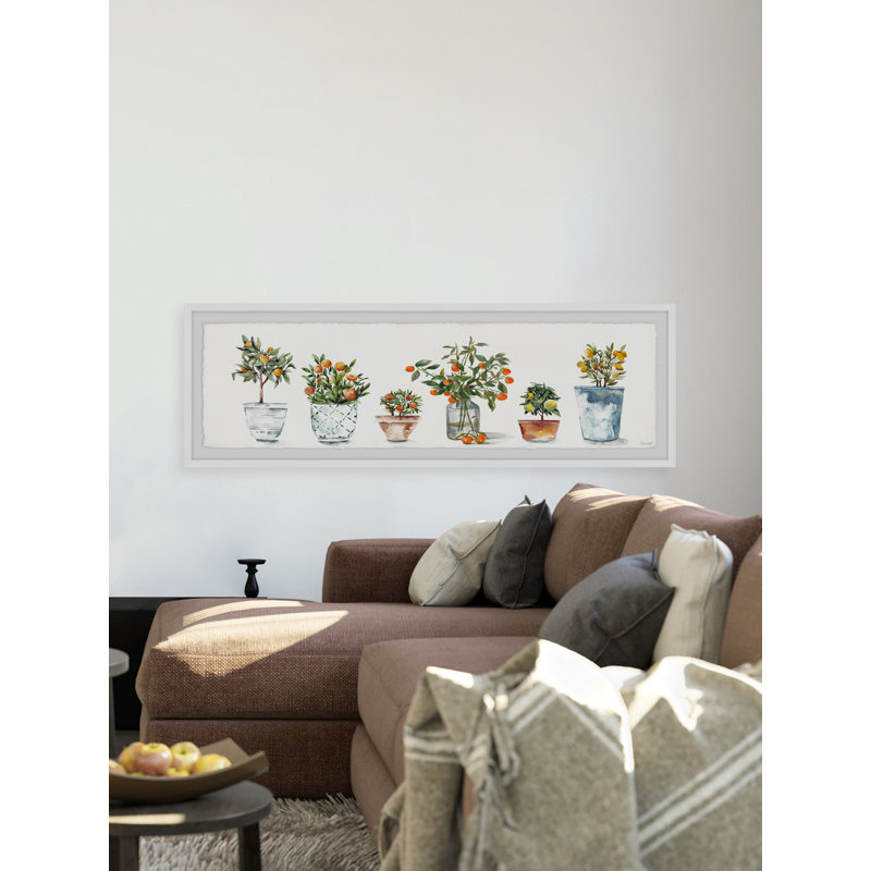 My Favorite Fruit Trees' - Picture Frame Panoramic Print on Paper, H 10 po x l 30 po