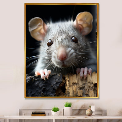 «White Cute Rodent Portrait III», reproduction sur toile encadrée