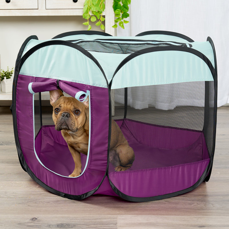 Panel Mesh Pet Playpen With Door, 23.75" H x 37" W x 31" D, Purple