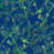 Deep Blue