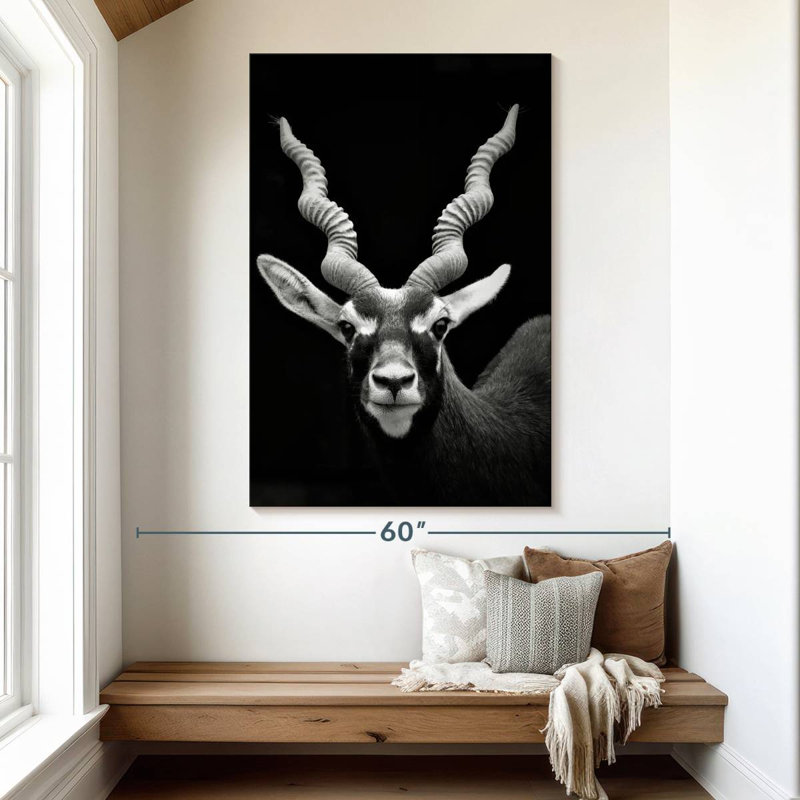 Brampt German Horned Antelope, 51" H x 34" W