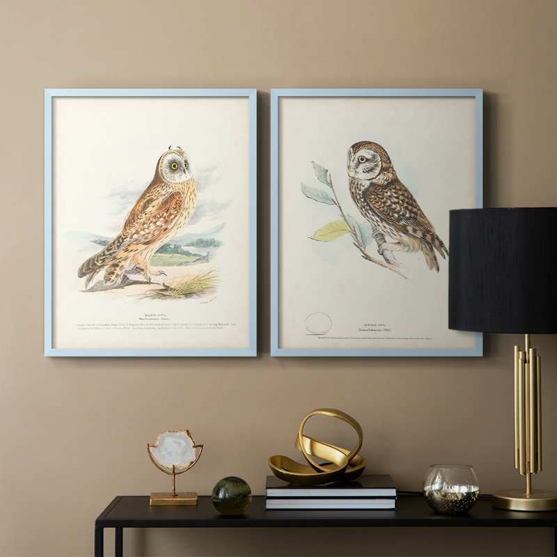 Hawk Owl - reproduction encadrée de qualité supérieure - prête à être accrochée - aucun clou requis - aucun clou requis, Bleu