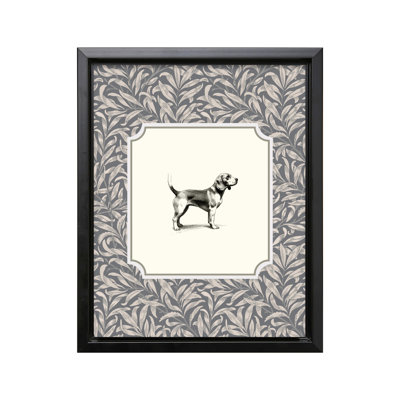 Beagle Dog