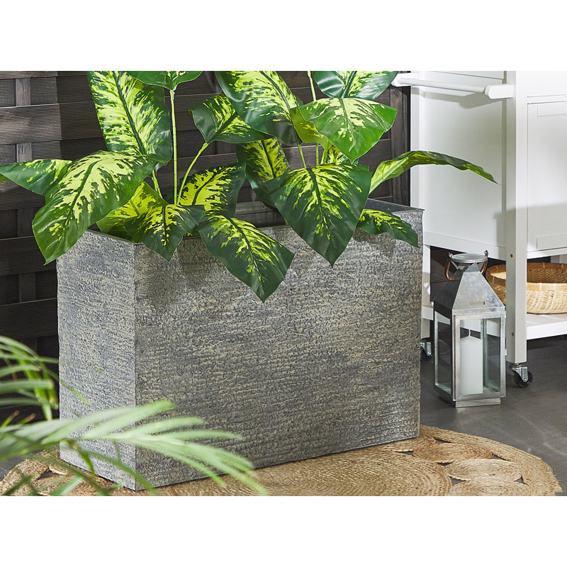 Adelia Pot Planter, 56cm H x 80cm W x 34cm D