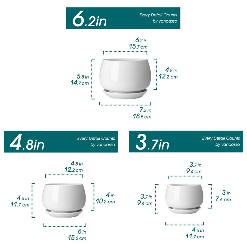 3-Pack Ceramic Plant Pots, White