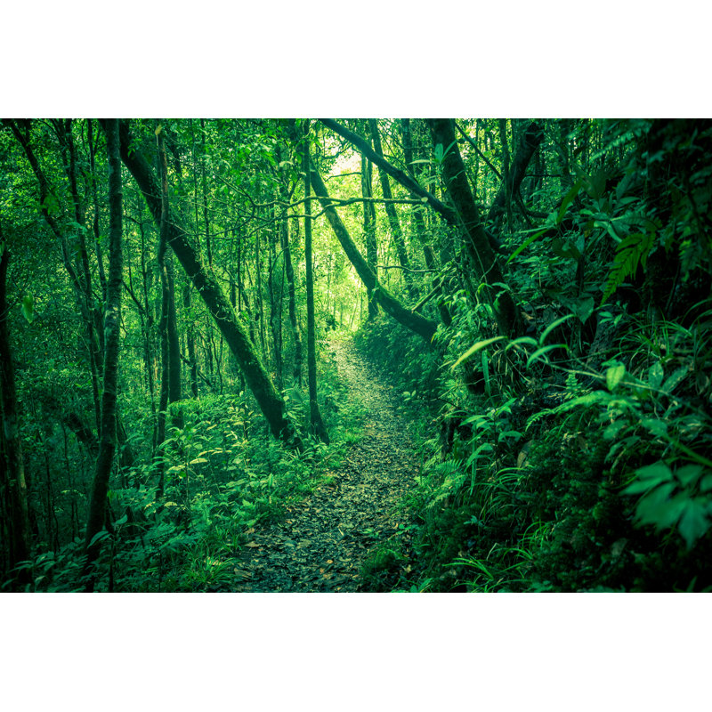Green Jungle - Wrapped Canvas Print, 30cm H x 46cm W