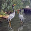 Ensemble de 2 statues de jardin Mojica