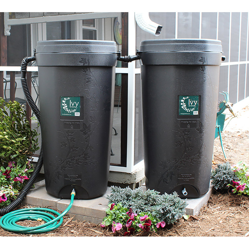 Ivy Rain Barrel, Noir