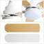 Ventilateur de plafond moderne de 42 pouces avec lumière DEL et moteur à courant continu réversible à 5 pales pour chambre à coucher-296806855-296806854