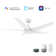 Lear 52'' Smart Ceiling Fan With Remote, Light Kit Included, Works With Google Assistant And Amazon Alexa,Siri Shortcut.