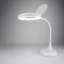 Torre Desk Lamp