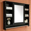 Pharmacie murale 36 pouces-757017191