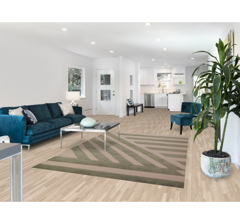 Tapis oriental contemporain Gabbeh 8