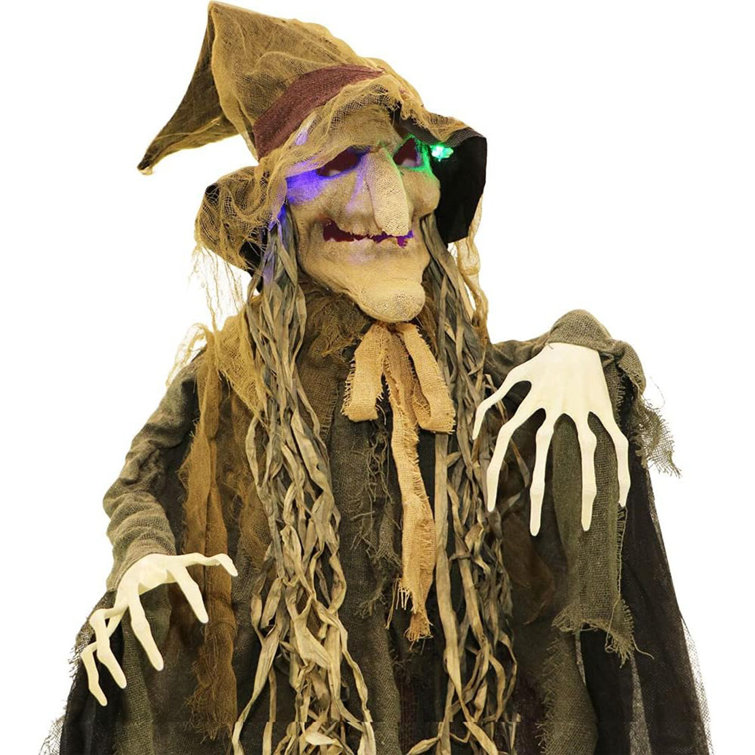 The Holiday Aisle® Hill Farm Life-Size Scary Poseable Scarecrow Witch ...
