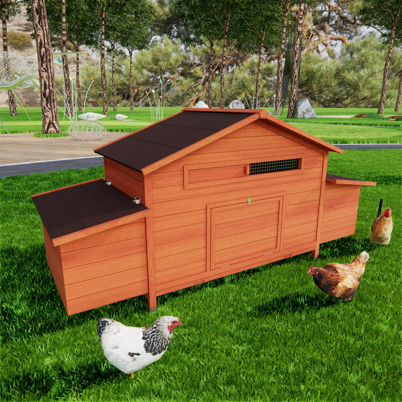 Poulailler en bois 123 po