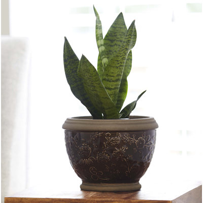 Handmade Ceramic Pot Planter