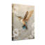 Ensemble de 1 tableau sur toile à motif colibri et floral-26364498