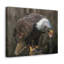 No Frame Print on Canvas-1542498505