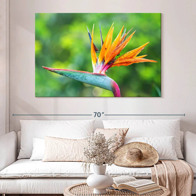 Fleur de l'oiseau du paradis, H 34 po x l 51 po