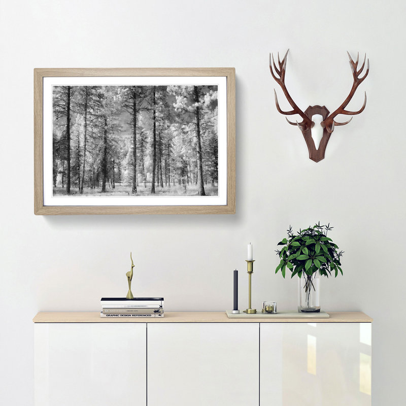 Montana Forest - Picture Frame Photograph Print, Oak Framed, 24cm H x 33cm W x 2cm D