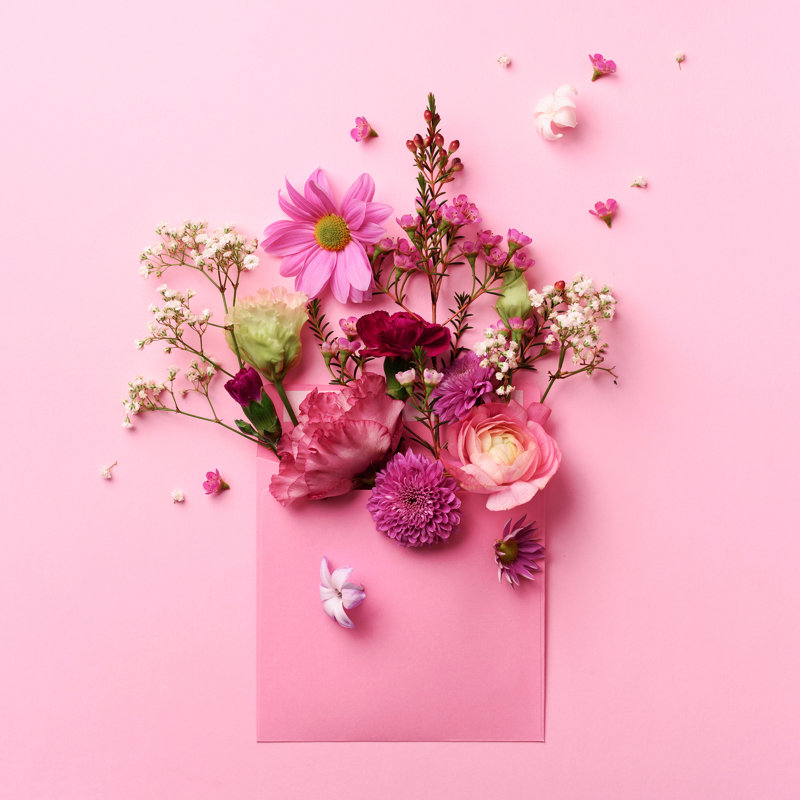 Pink Envelope With Spring Flowers - Wrapped Canvas Print, 30cm H x 30cm W x 3.8cm D