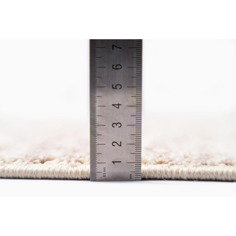 Silender Indoor Rug, Rectangle 4'4" x 5'
