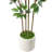 Adcock Faux Ficus Tree in White Planter-1140486949