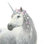 «Spirit Unicorn II Sq Enchanted», peinture encadrée