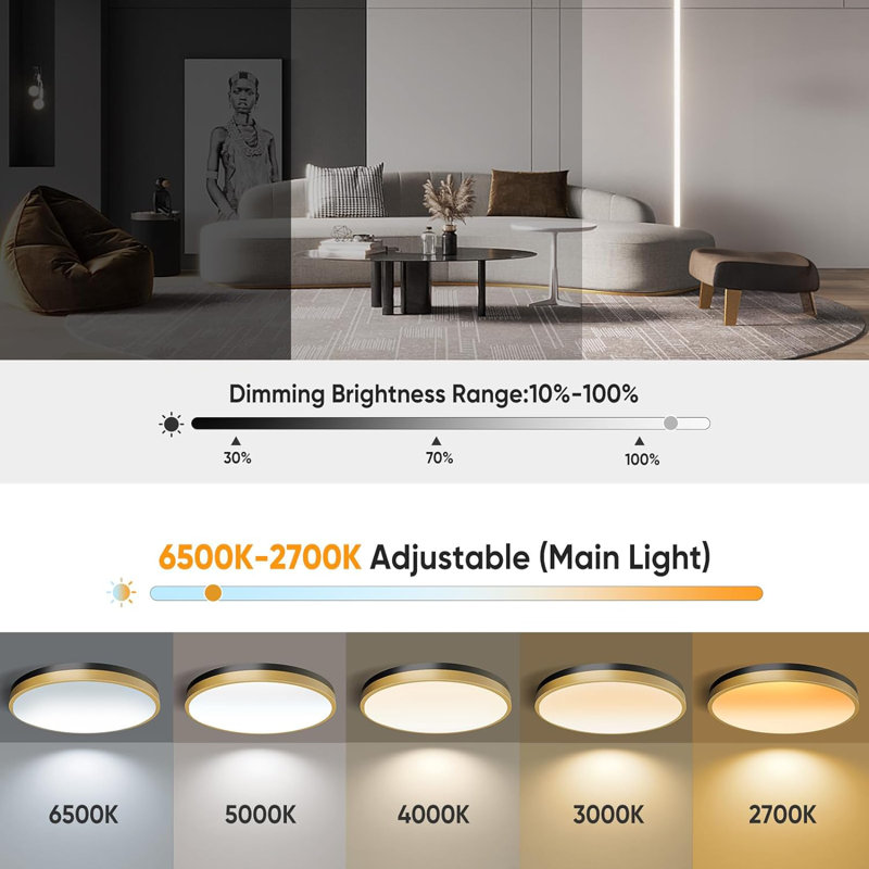 13-Inch White Gold LED Flush Mount Ceiling Light with Remote