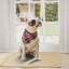 Coussin chauffant pour chat et chien (ensemble de 2)-595574031