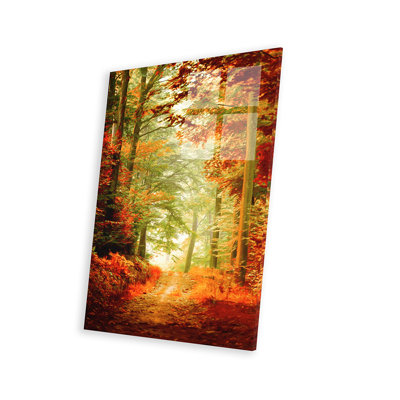 «Fall» par Philippe Sainte-Laudy - impression sans cadre