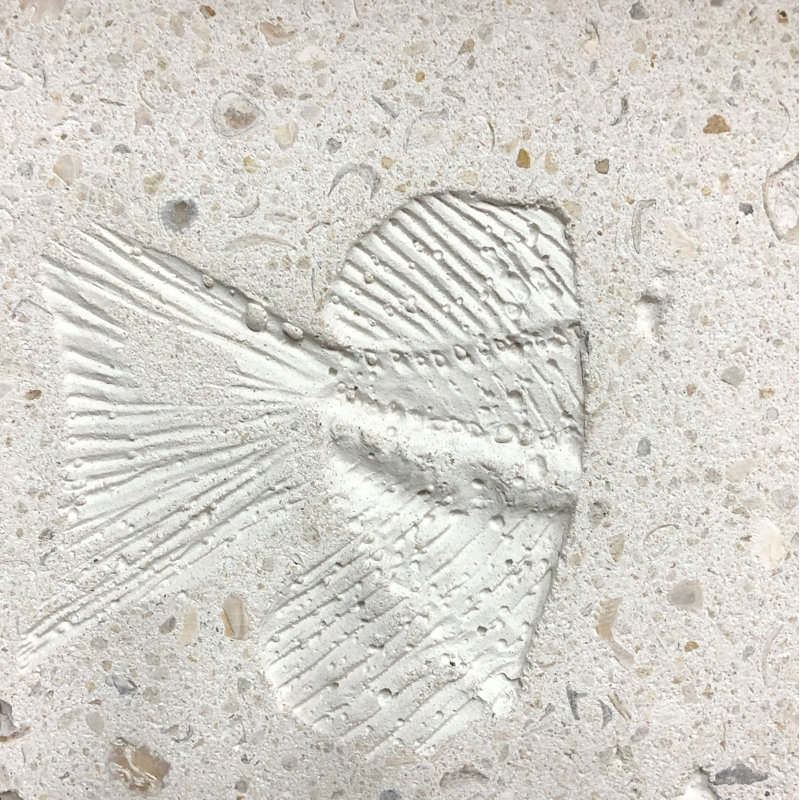 Carrelage médaillon beige 6 "x 6"