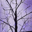 Ensemble d'arbres effrayants 3 Pac Halloween