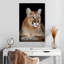 Chat sauvage majestueux Brampt-108237778