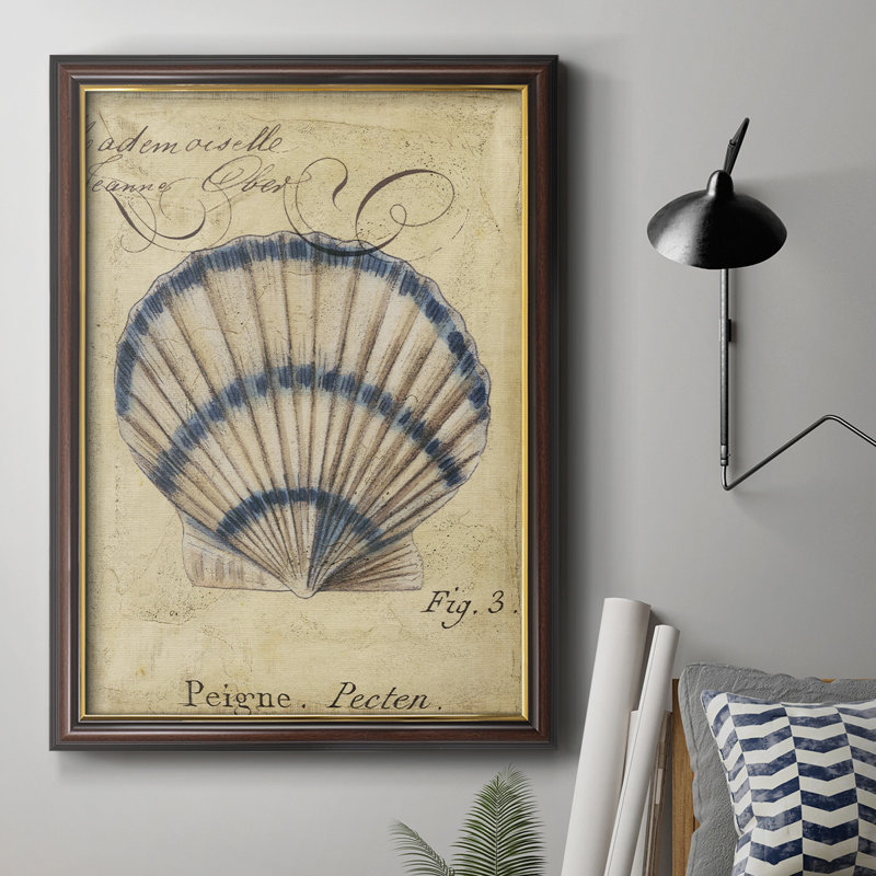 Seashell Ephemera III, toile encadrée de qualité supérieure - prête à être accrochée, H 20 po x l 16 po x H 2,5 po
