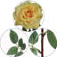 Ensemble de roses artificielles-1221183388-1313048091