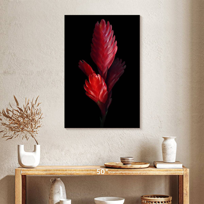 Harnek Bromeliad, 36" H x 24" W