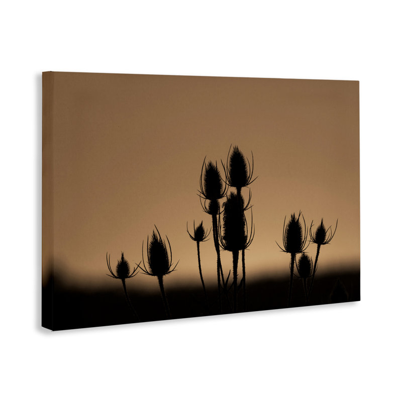 "Botanical Sprigs Silhouettes", art mural par Nancy Crowell, H 24 po x l 36 po