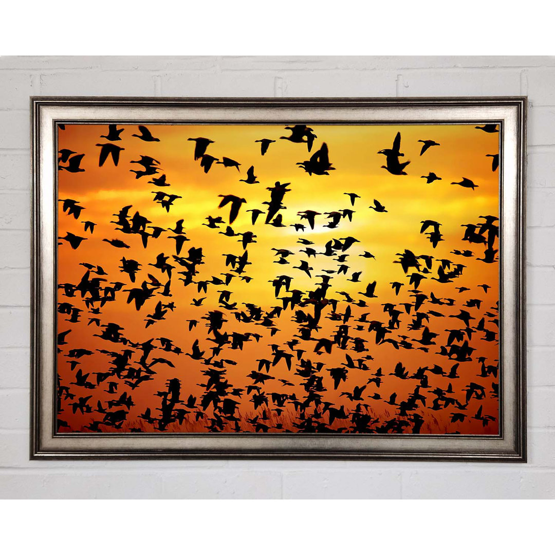 Flight Of The Golden Birds - Einzelne Bilderrahmen Kunstdrucke