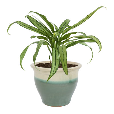 Berlina Round Imperial Ceramic Outdoor Planter