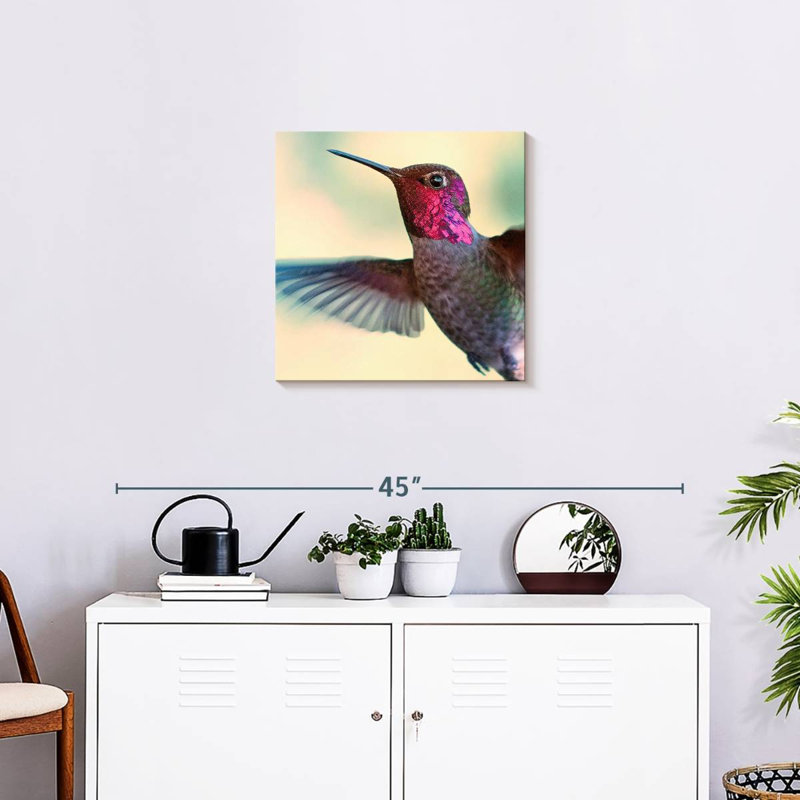 Brampt Flying Anna's Hummingbird, 20" H x 20" W
