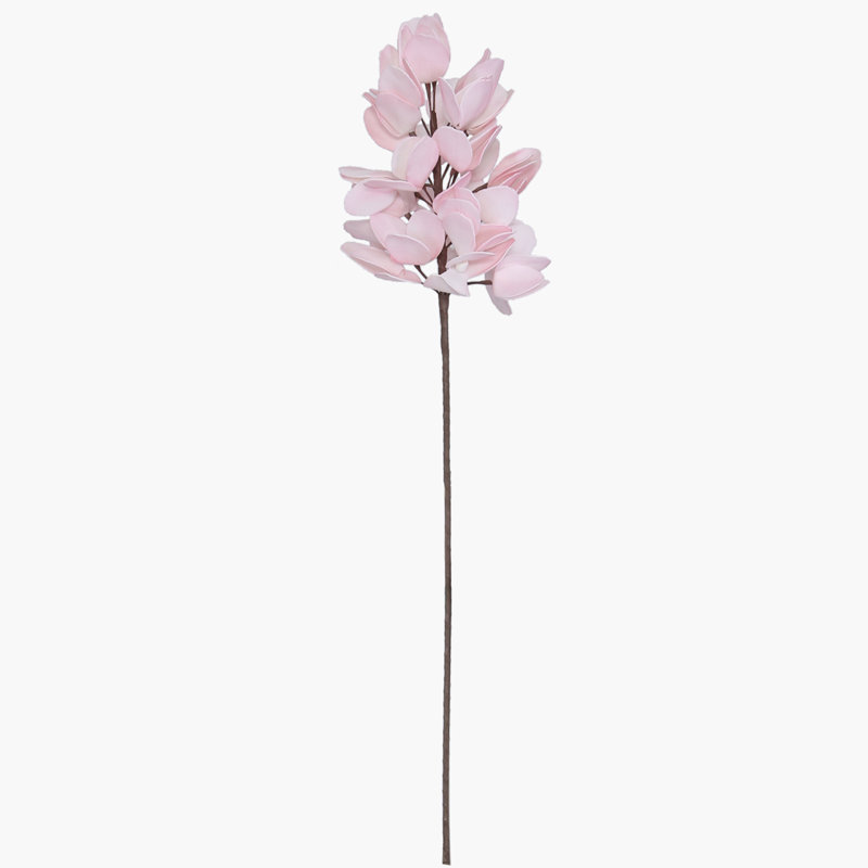 Foam Arrangement
