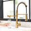 Robinet de cuisine purificateur avec capacité d'eau potable, filtre rétractable, or noir et nickel, sortie indépendante pour les éviers dans l'évier, hygiène d'écoulement