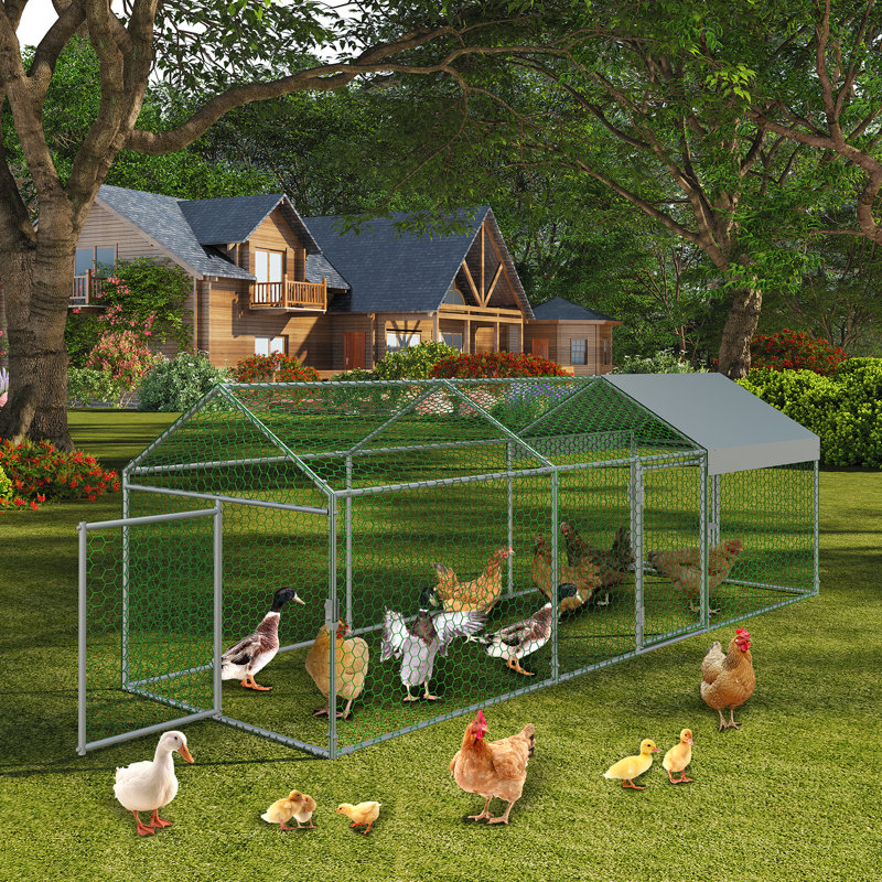Chicken Run, Silver, 100cm H x 100cm W x 300cm D