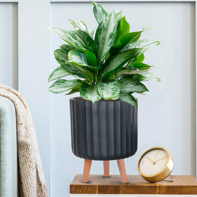 Modern Ribbed Cylinder Round Planter with Feet