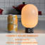 Lampe de table rechargeable moderne sans cordon en verre opale avec DEL intégrée