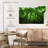 Alvord Basse-Terre Jungle-111834863
