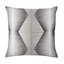 Zac Square Pillow Cover & Insert