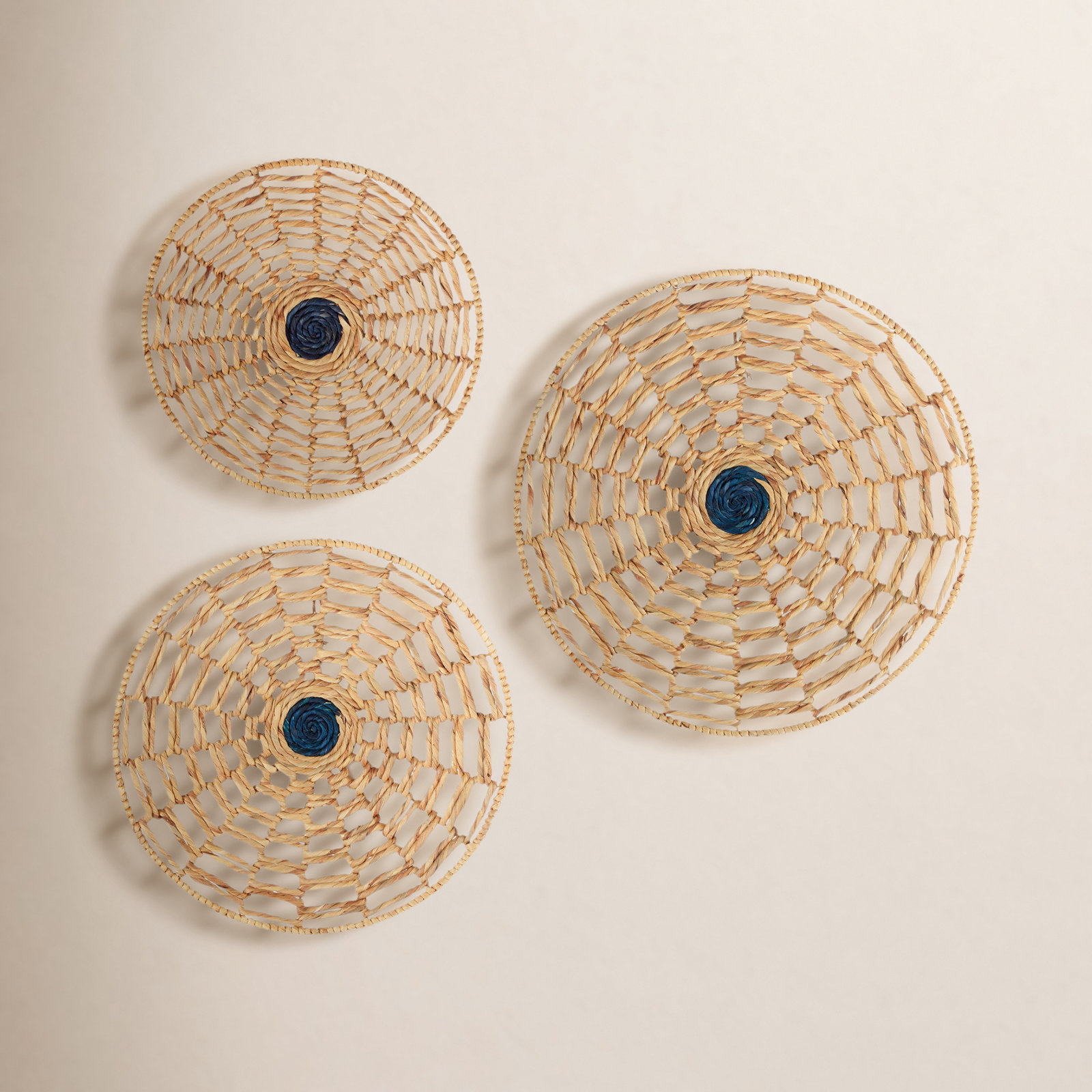 Dried Plant Wall Decor