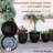 Pot Planter-1342262759